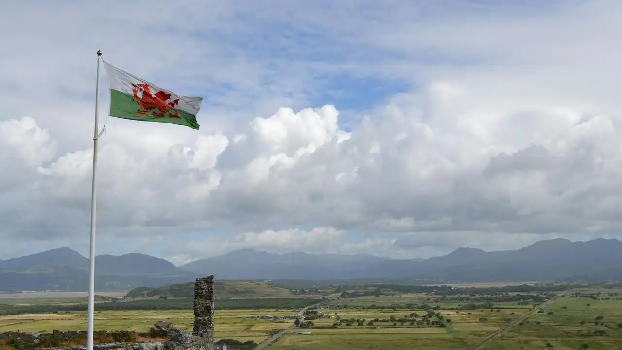 The Best Welsh TV Shows And Podcasts For Language Learners