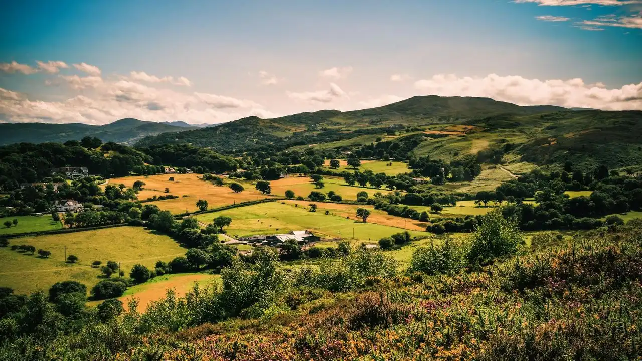 How To Learn Welsh From Scratch: A Beginner's Ultimate Guide