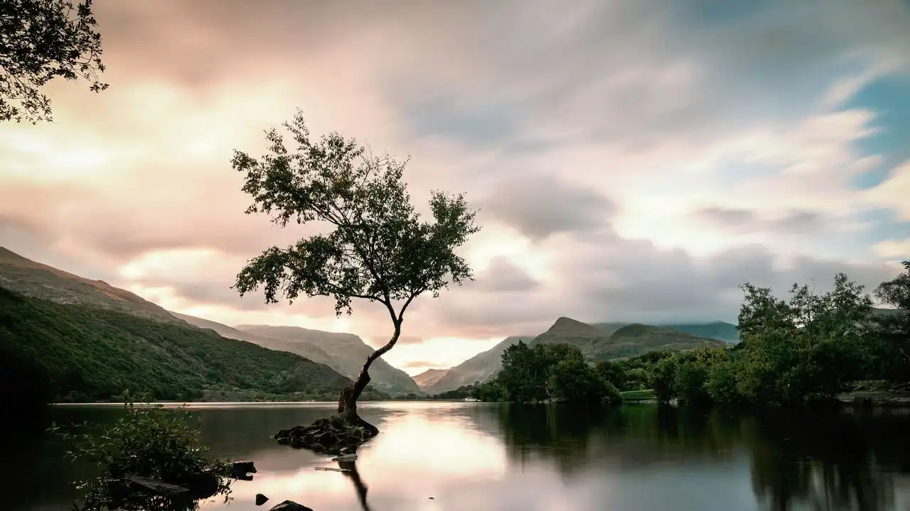 Patagonian Welsh Is A Fascinating Dialect: A Look At South America's Celtic Speakers