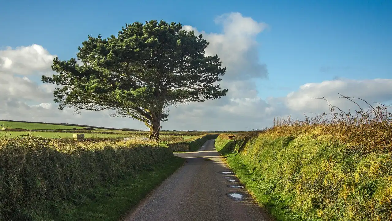 Soft, Nasal And Aspirate Mutations In Welsh