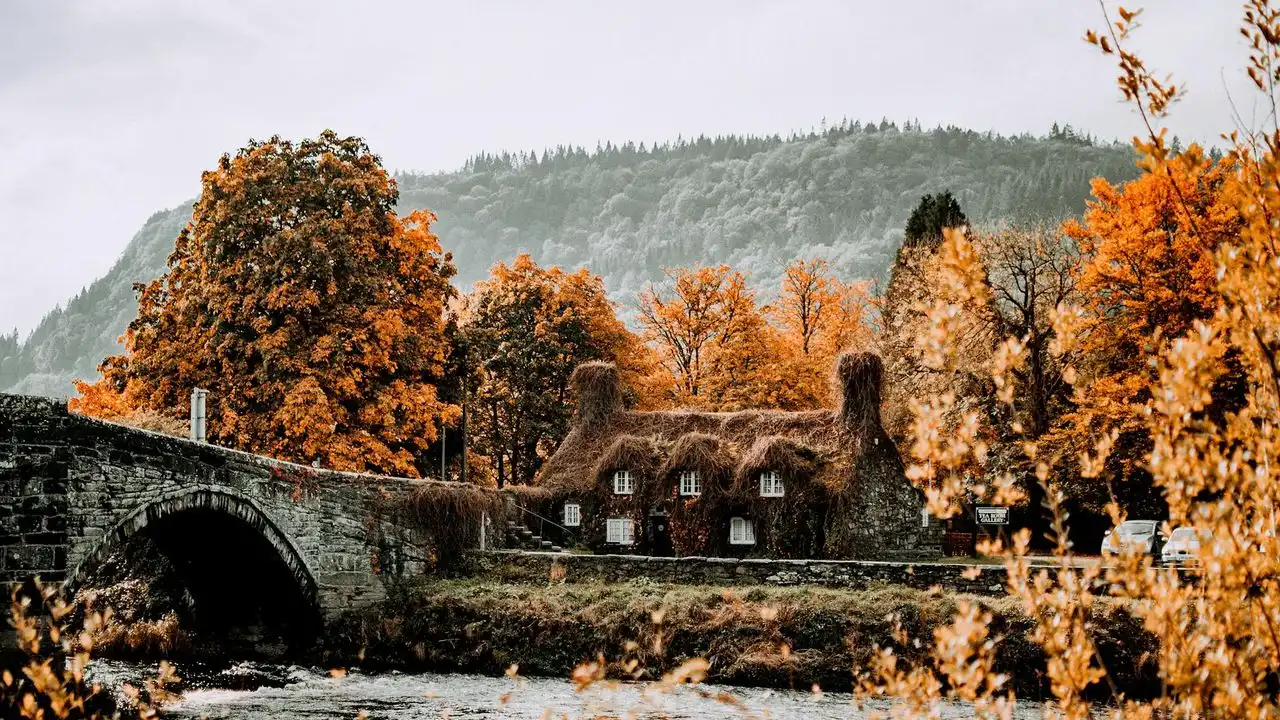 Welsh Vs. Irish: Which Celtic Language Should You Learn?