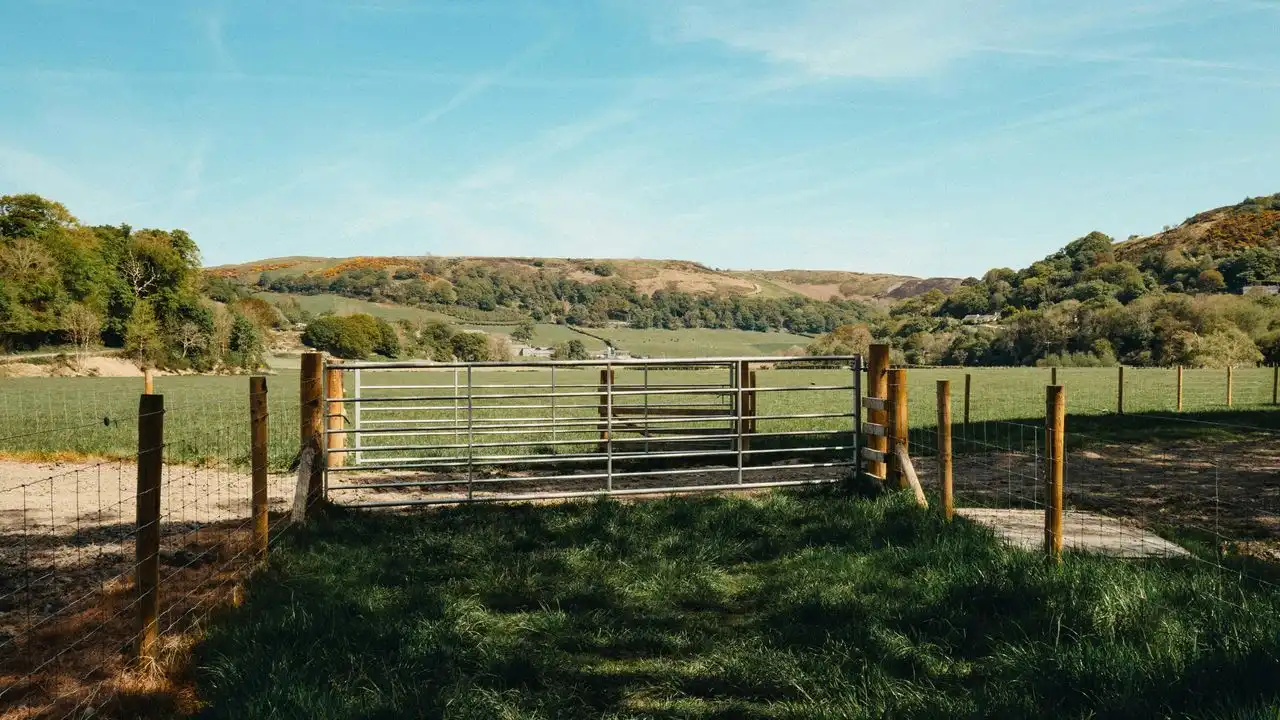 Why Learn Welsh? 7 Surprising Benefits Of Studying Cymraeg